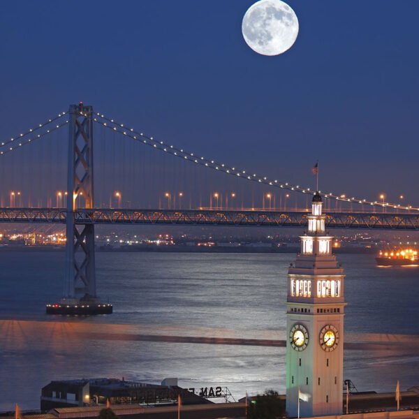 Roller Estampado COD ciu0036_baja