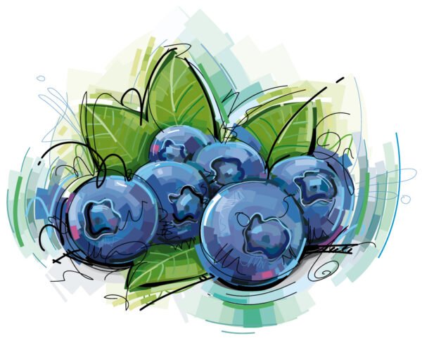 Roller Estampado COD coc0009_baja