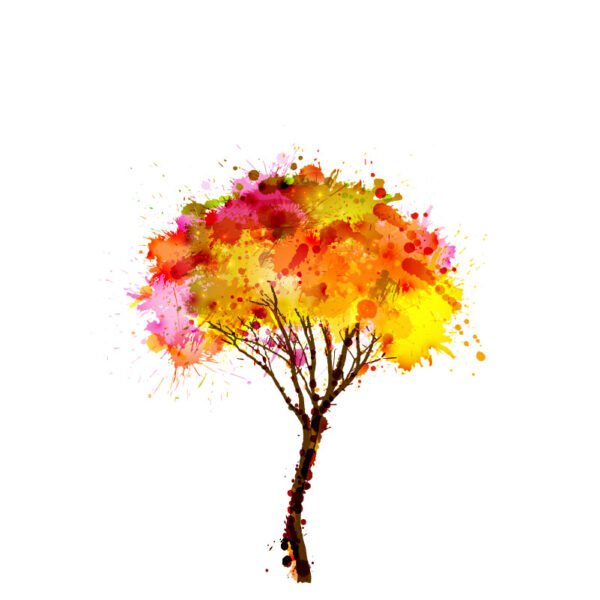 Roller Estampado COD abs0004_baja