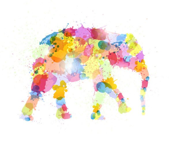 Roller Estampado COD abs0008_baja