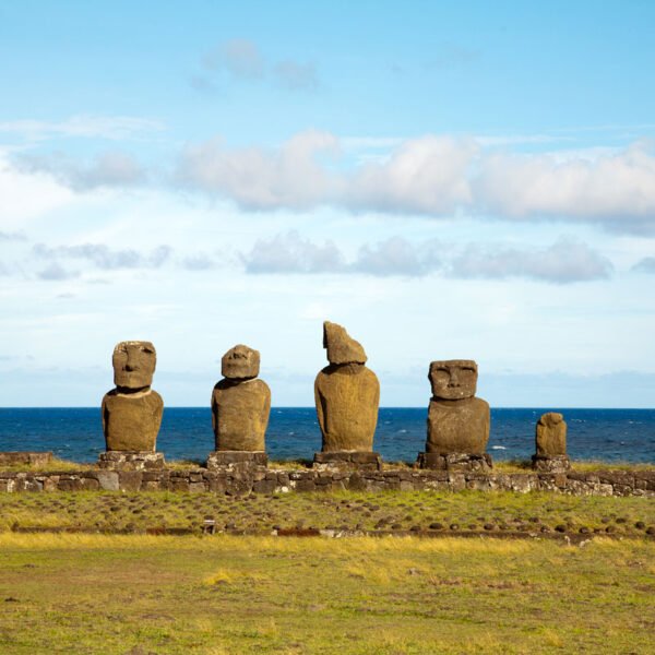 ciu0037_baja Roller Estampado COD ciu0037_baja