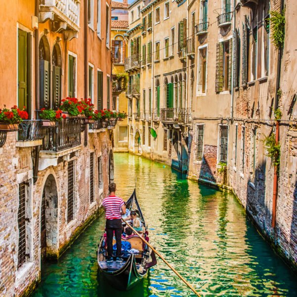 Roller Estampado COD ciu0059_baja